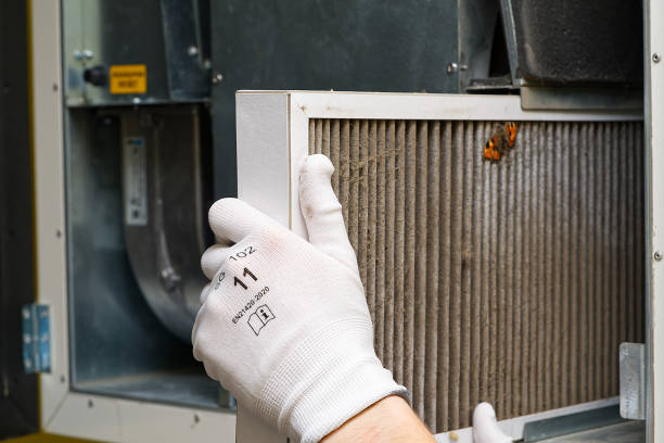 Best Air Duct Cleaning Company Near Me  in Lehigh Acres, FL