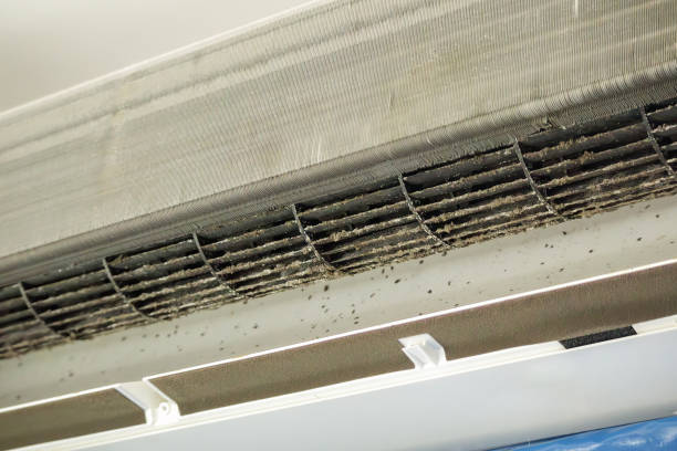 Best Professional Duct Cleaning Services  in Lehigh Acres, FL
